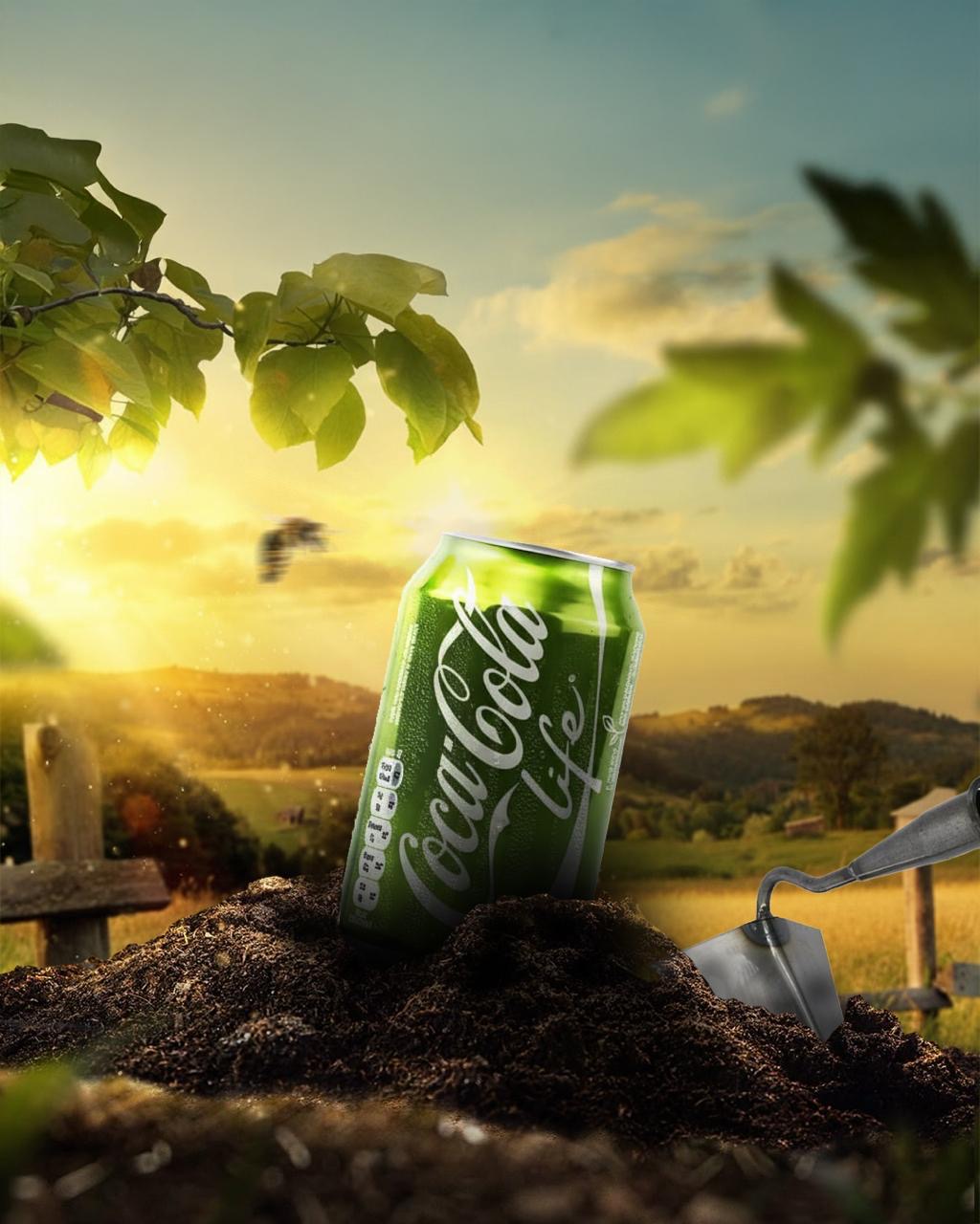 Work 11 Best Digital Marketer in Calicut